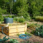 Raised bed and water tank