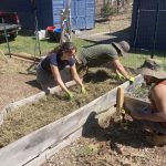 a raised bed at the sharing gardens